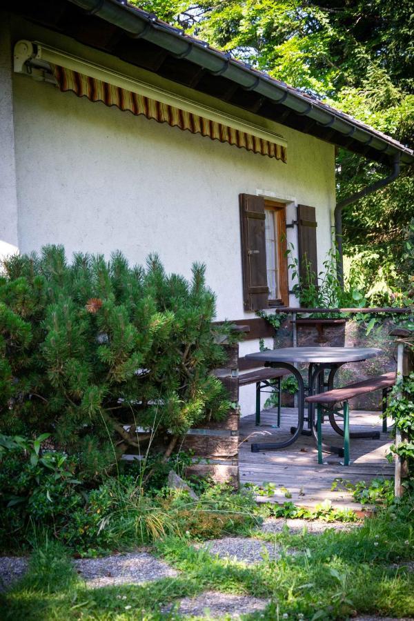 Ferienhaus Schetter에그 외부 사진